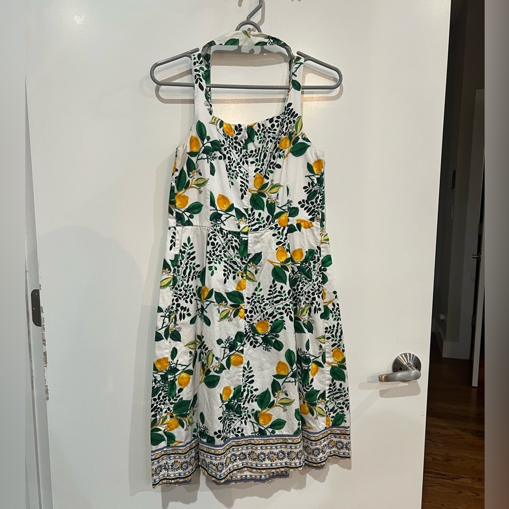 Roz & Ali Dress Barn Lemon and Green Fit & Flare Dress - Picture 5 of 5
